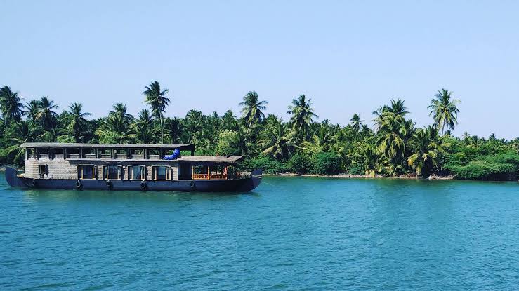 Cruise and Spot Dolphins at Chunnambar Boat House